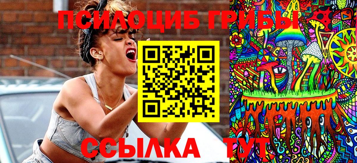 Псилоцибиновые грибы мицелий  Вход с VPN  Псилоцибиновые грибы прущие грибы  как найти закладки  Горячий Ключ 